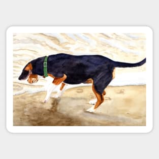 Beagle by the Water Painting Sticker